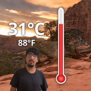 31 °C