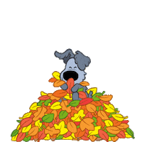 Autumn Tovertuin Sticker by Woezel & Pip