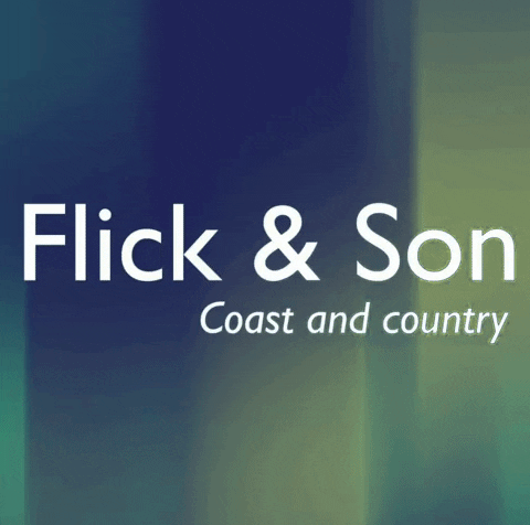 flickandson forsale estateagents tolet flickandson GIF