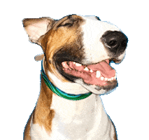 Happy Bull Terrier Sticker by Max bahman - MAX164