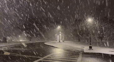 Snow Swirls Down at Albany University Campus