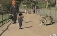 mir GIF