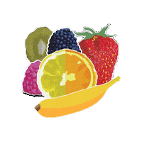 Fruit Juice Orange Sticker