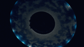New Zealand Bret GIF by Sub Pop Records
