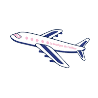 LaBoutiqueduCoiffeur travel plane avion voyage Sticker
