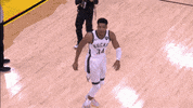 Nba Playoffs Sport GIF by NBA