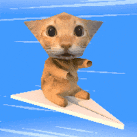 Cat GIF