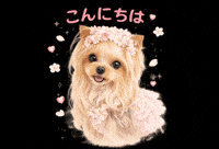 Dog Hello GIF
