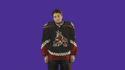 Nhl Thumbs Up GIF by Arizona Coyotes