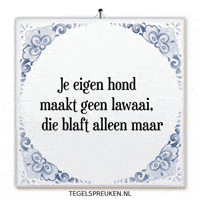 Humor Nl GIF by Tegelspreuken.nl