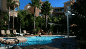 pool GIF by The Hills