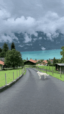 ehdgus1211 giphyupload GIF