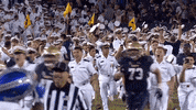 Navy Football The Brigade GIF by Navy Athletics