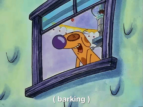 nicksplat GIF