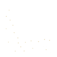 Flower Vsp Sticker by Virtual Success Partners