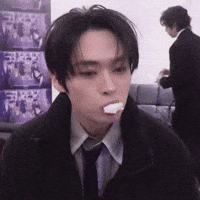 Stray Kids Skz GIF