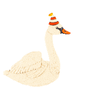 camphollow swan camphollow Sticker