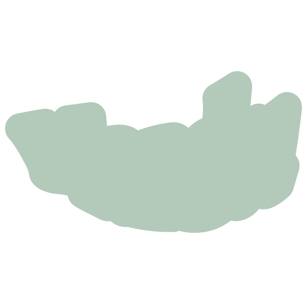 bibigoglobal giphyupload giphystrobetesting dumpling dimsum Sticker