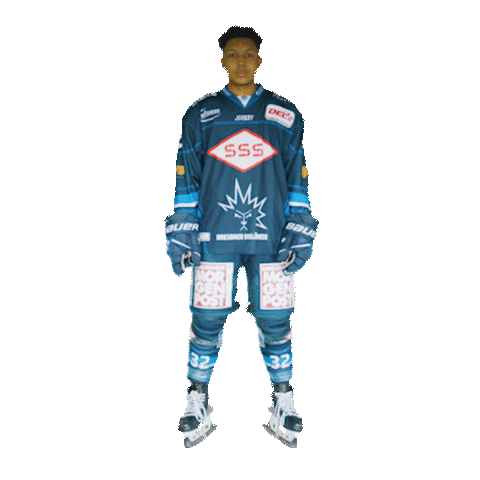 Dresden Del2 Sticker by Dresdner Eisloewen