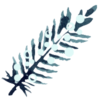 Decorate Merry Christmas Sticker