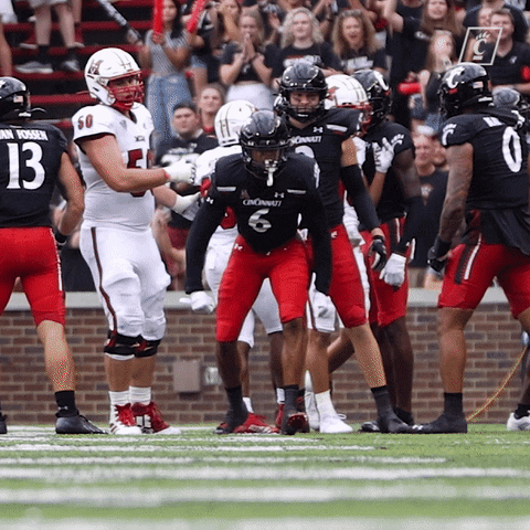 GIF by Cincinnati Bearcats