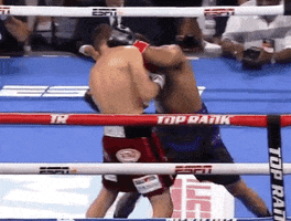 toprank fight boxing fighting espn GIF