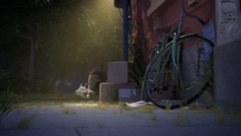 Trash Run Away GIF by Pokémon
