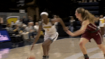 Gomocs GIF by Chattanooga Mocs