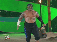 wwe sports wwe wrestling summerslam GIF