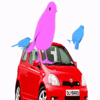 Toyota Pink Bird GIF