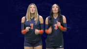 Cnvb GIF by Carson-Newman Athletics
