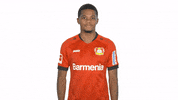 Happy Call Me GIF by Bundesliga