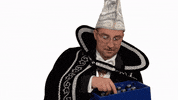 GreenLeavesProductions 2023 carnaval helmond carnaval2023 GIF