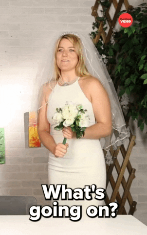 Whats Going On Wedding GIF by BuzzFeed