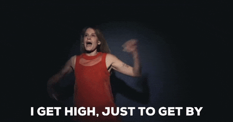 chrstphrbrwn high fidlar i get high GIF