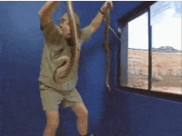 Steve Irwin Snakes GIF by Bustle