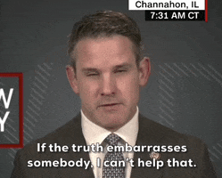 Adam Kinzinger GIF by GIPHY News