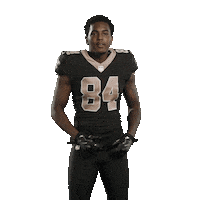 Football Sport Sticker by New Orleans Saints