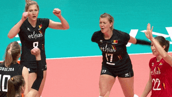 Celebrate Lets Go GIF by Volleyball World