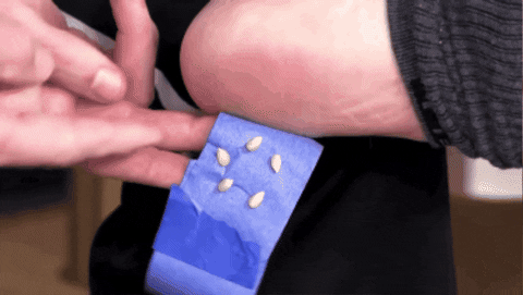 giphygifmaker GIF