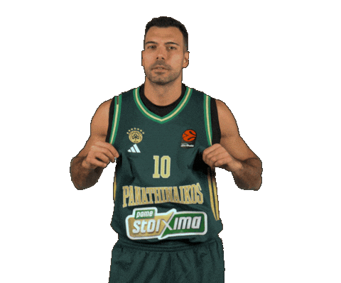Kostas Sloukas Pao Sticker by Panathinaikos BC