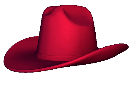 Country Music 3D Sticker