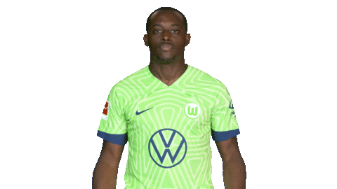 Lets Go Football Sticker by VfL Wolfsburg
