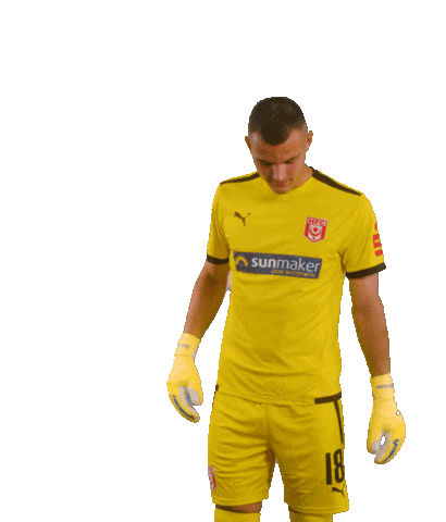 hallescherfussballclub football soccer arrow fussball Sticker