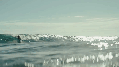 surfing hawaii GIF by NOWNESS