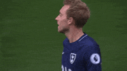 tottenham hotspur football GIF
