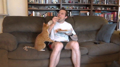 eat GIF