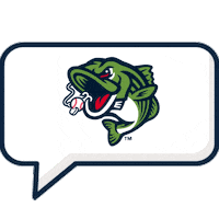 Sticker by Gwinnett Stripers