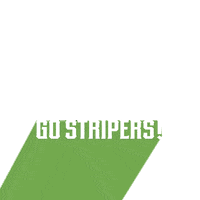 Sticker by Gwinnett Stripers