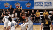 GIF by University of Iowa Hawkeyes Athletics